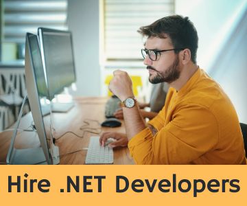 Hire .NET Developers